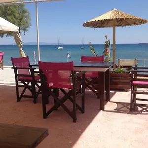 kefalonia-beach-hotel-bungalows.kefaloniahotels.net/